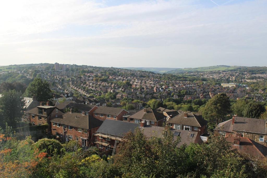 View.jpg