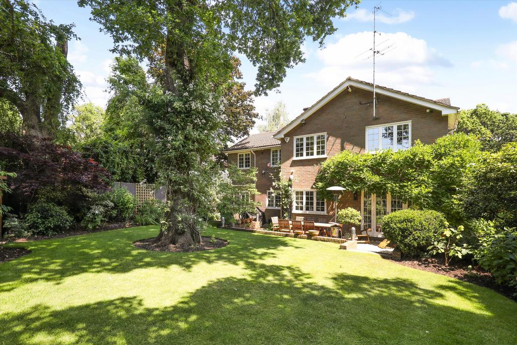 Garden view, garden