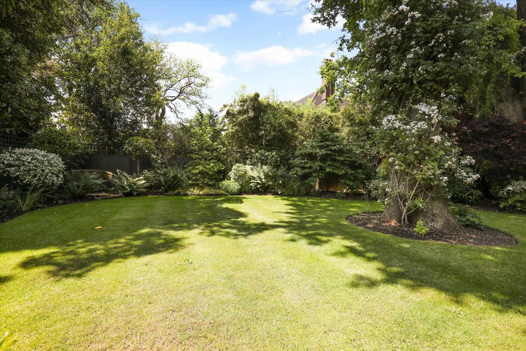 Garden view, garden