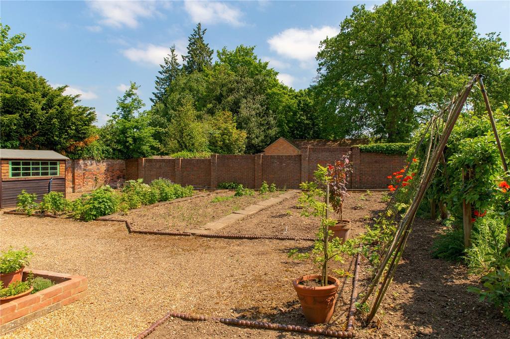 Vegetable Garden