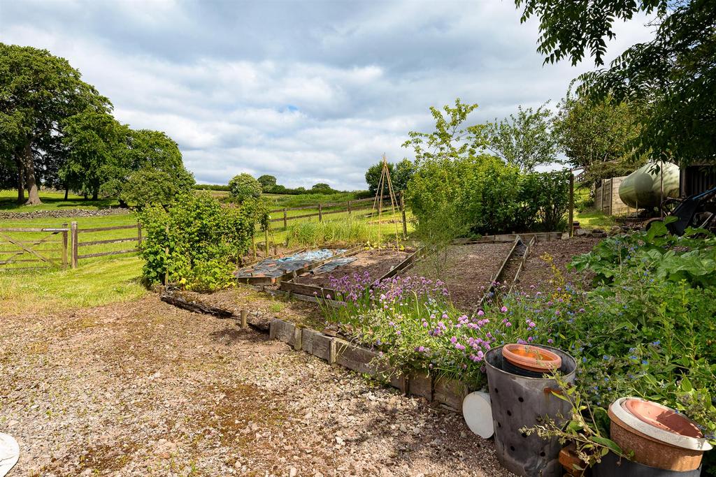 Vegetable Garden