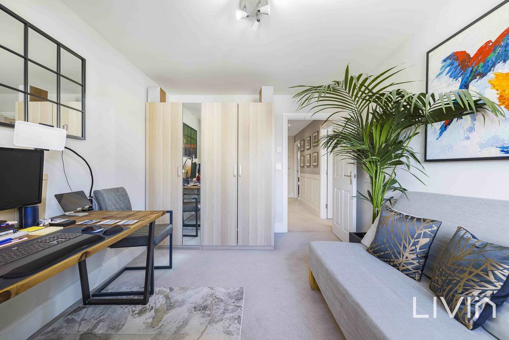 Montague-5