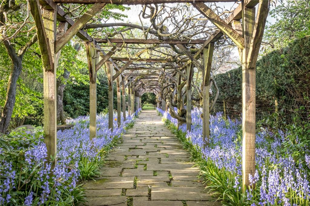 Wisteria Walk