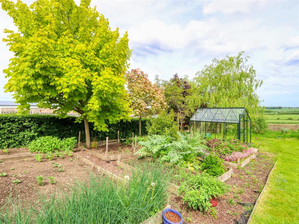 Planting area