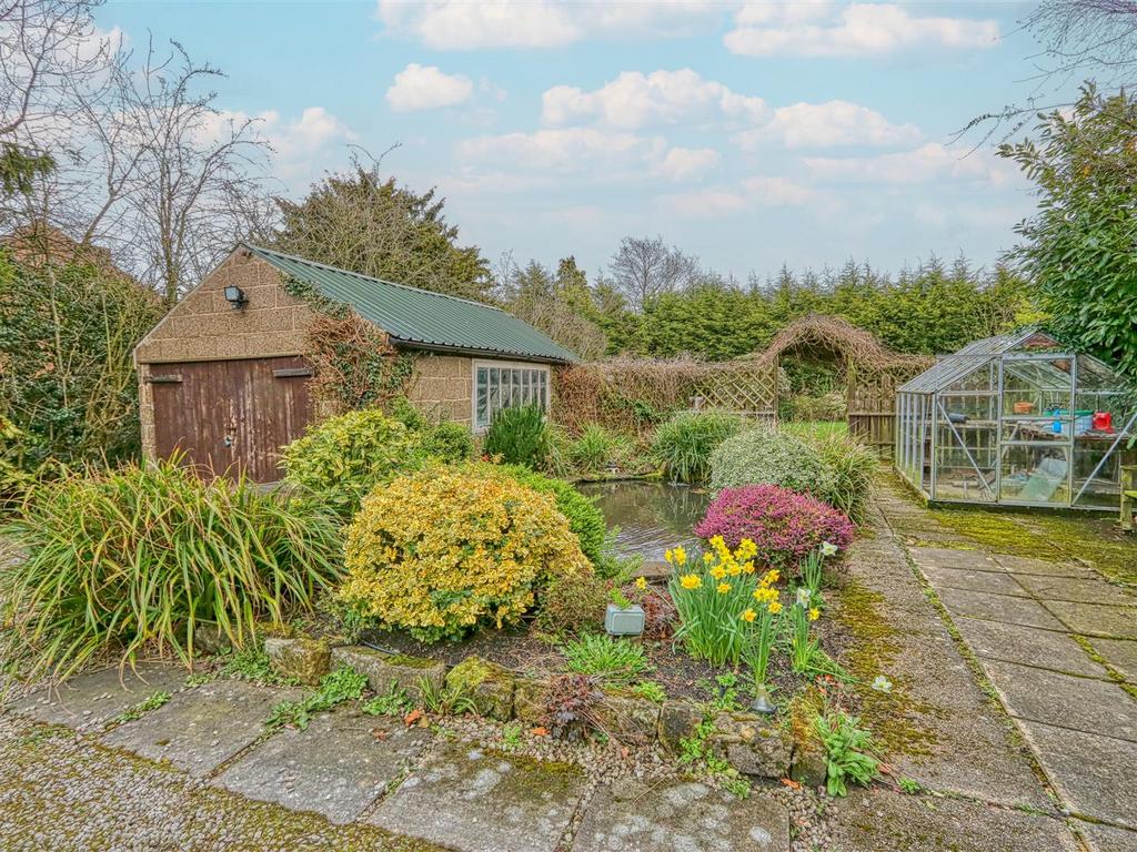 Rear garden