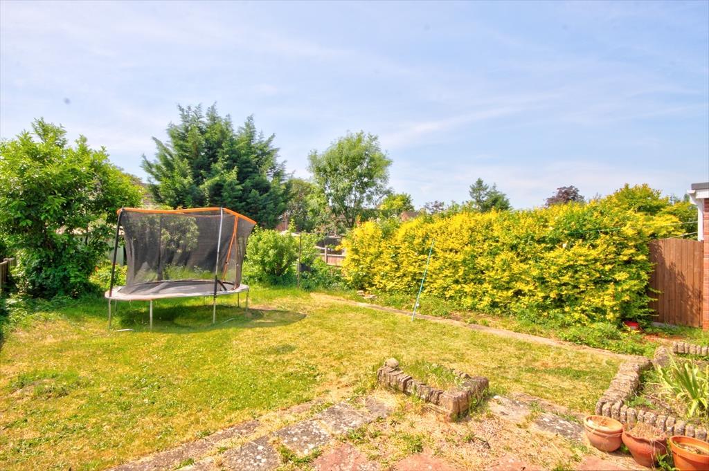 Garden 4.jpg