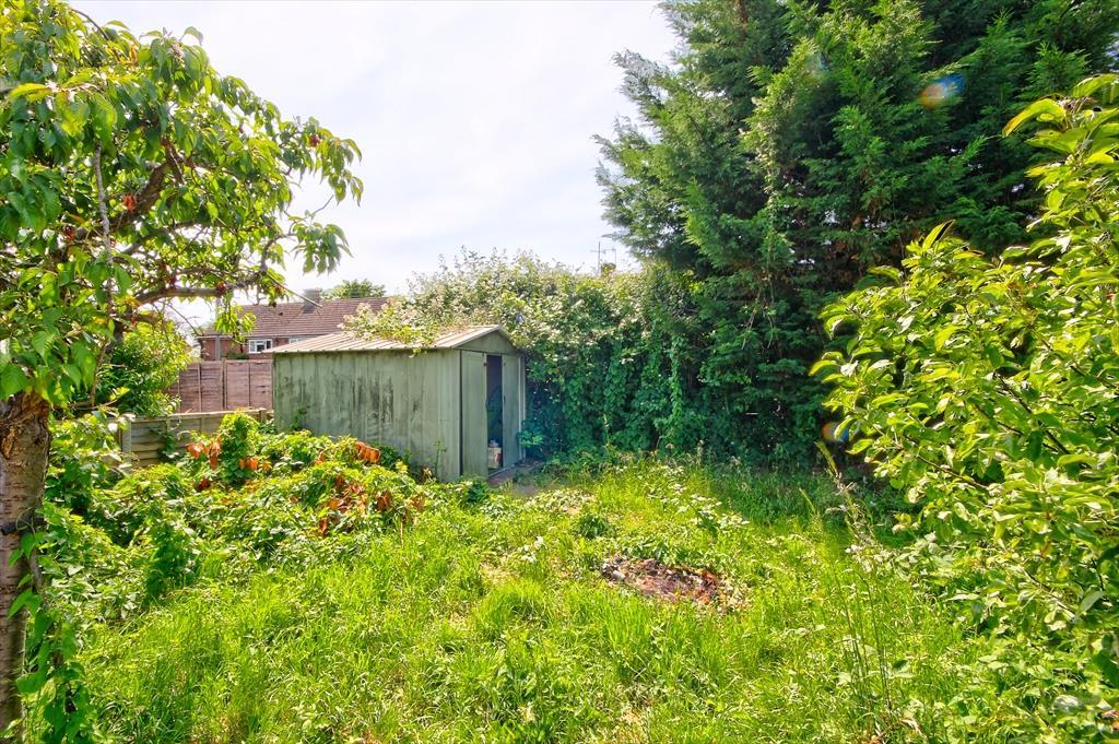 Garden 2.jpg