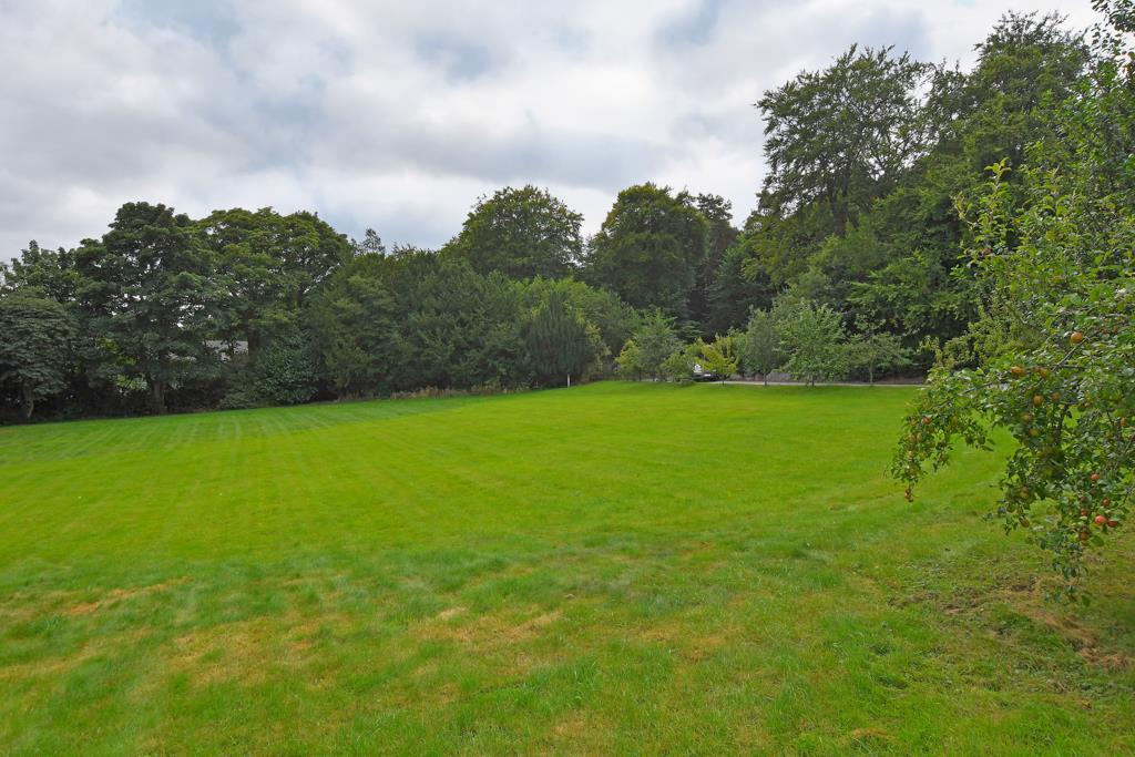 Communal Grounds
