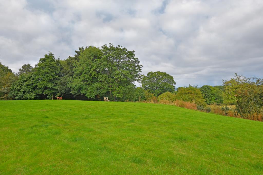 Communal Grounds