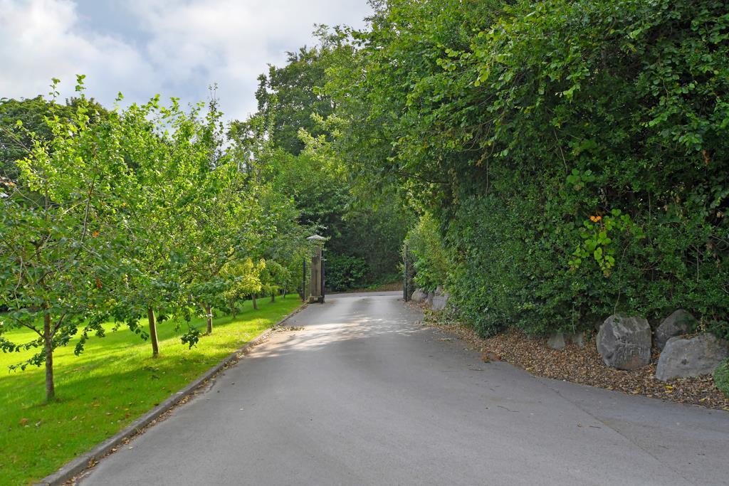 Communal Grounds