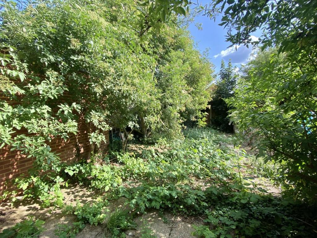 Thumbnail IMG 8069.jpg