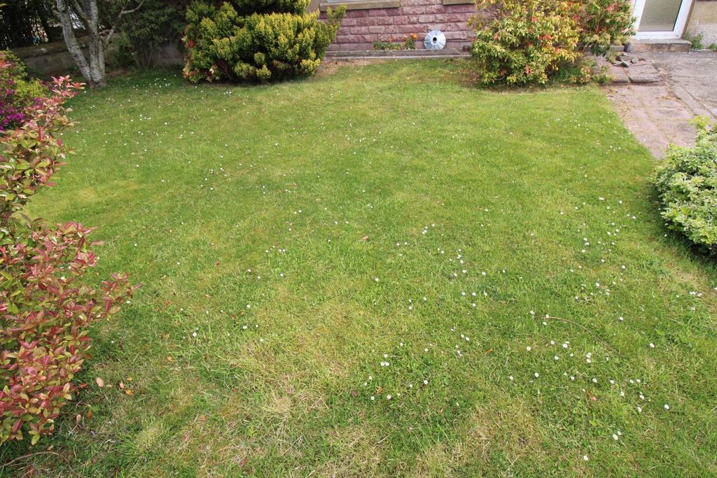 Front garden.jpg