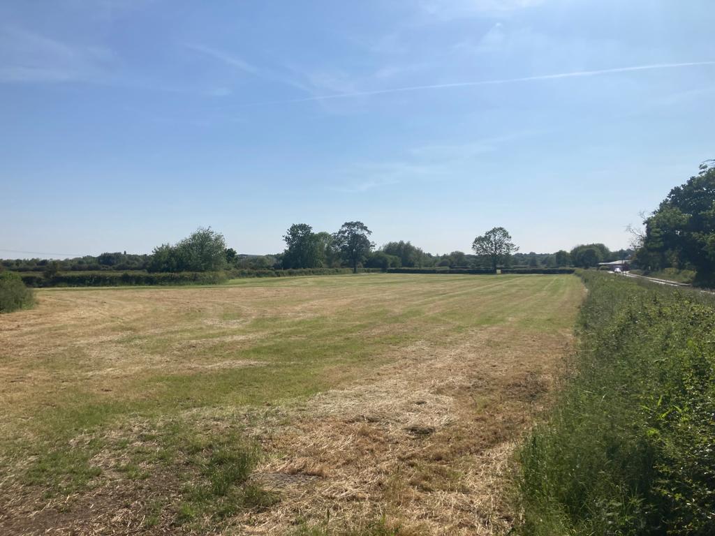 Whats App Image 2023-06-09 at 09.08.31 (2).jpeg