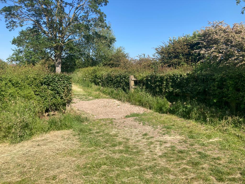 Whats App Image 2023-06-09 at 09.09.07.jpeg