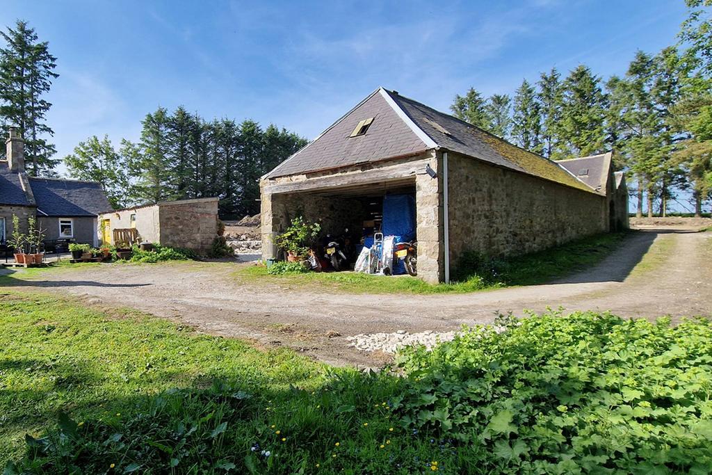 MFL9227295 433.jpg