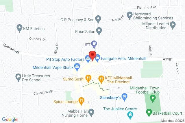 Google Maps Image
