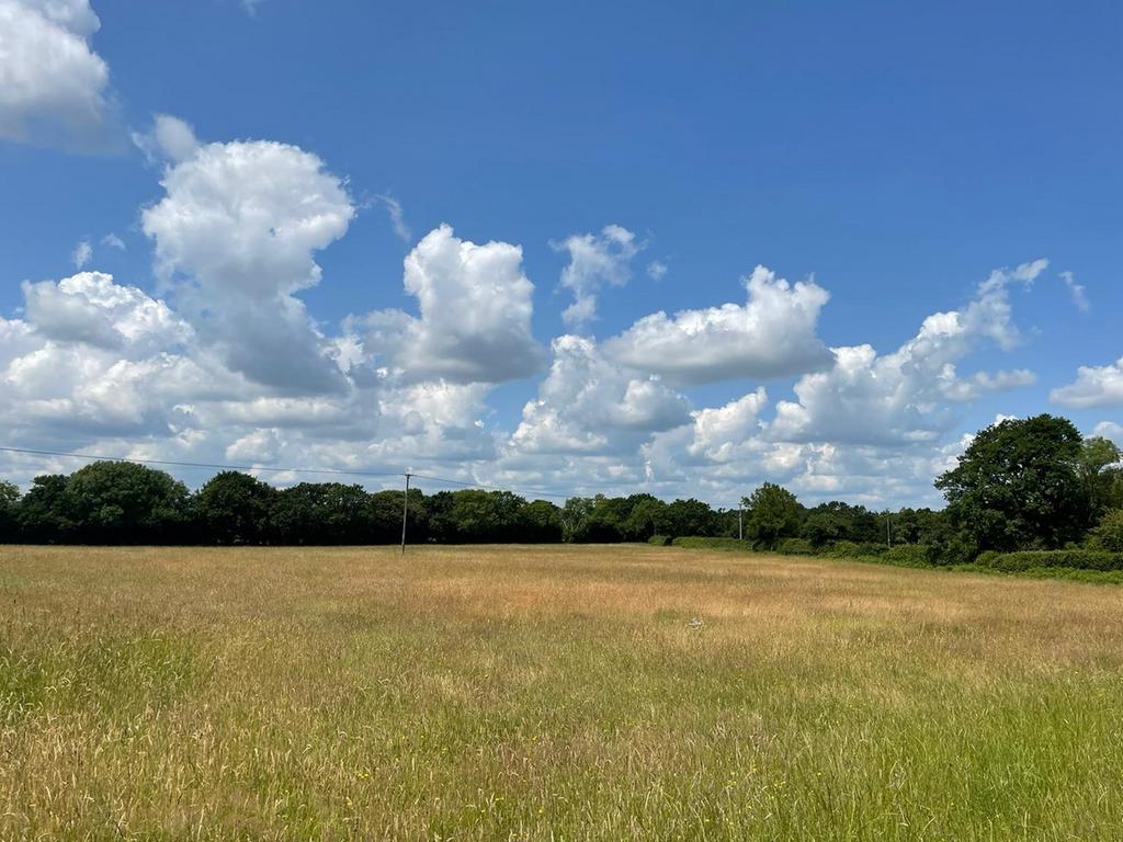 Woodgreen Road, Godshill, Fordingbridge, SP6 Farm land for sale £295,000