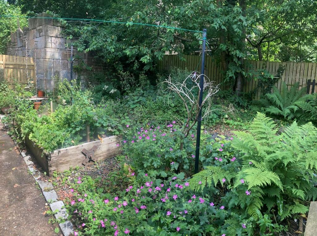 Garden 1.jpg