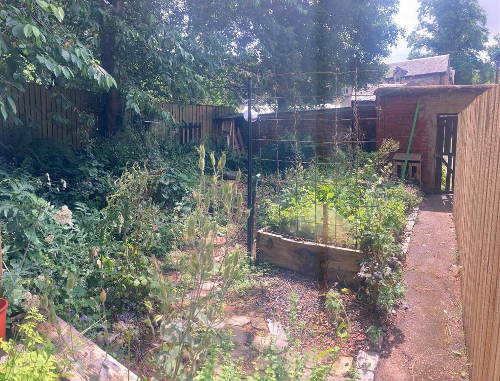 Garden 2.jpg