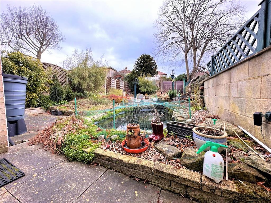 Rear garden pond