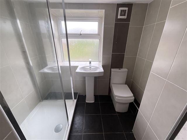 Basement Bathroom