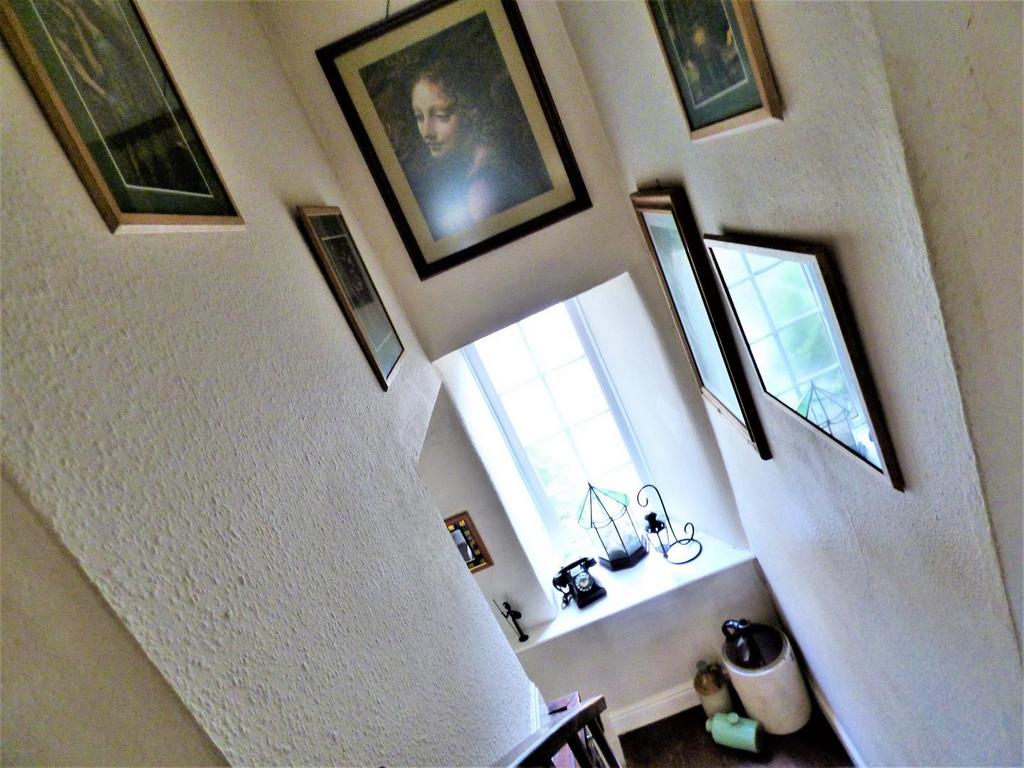 P1150194.jpg