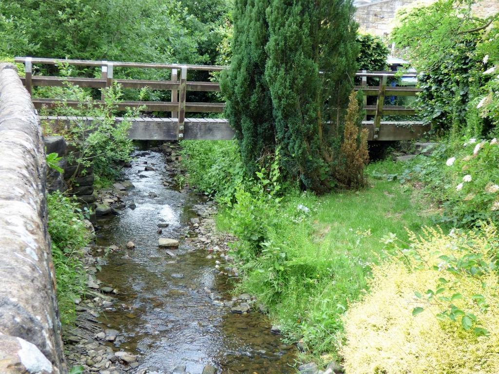 P1150185.jpg