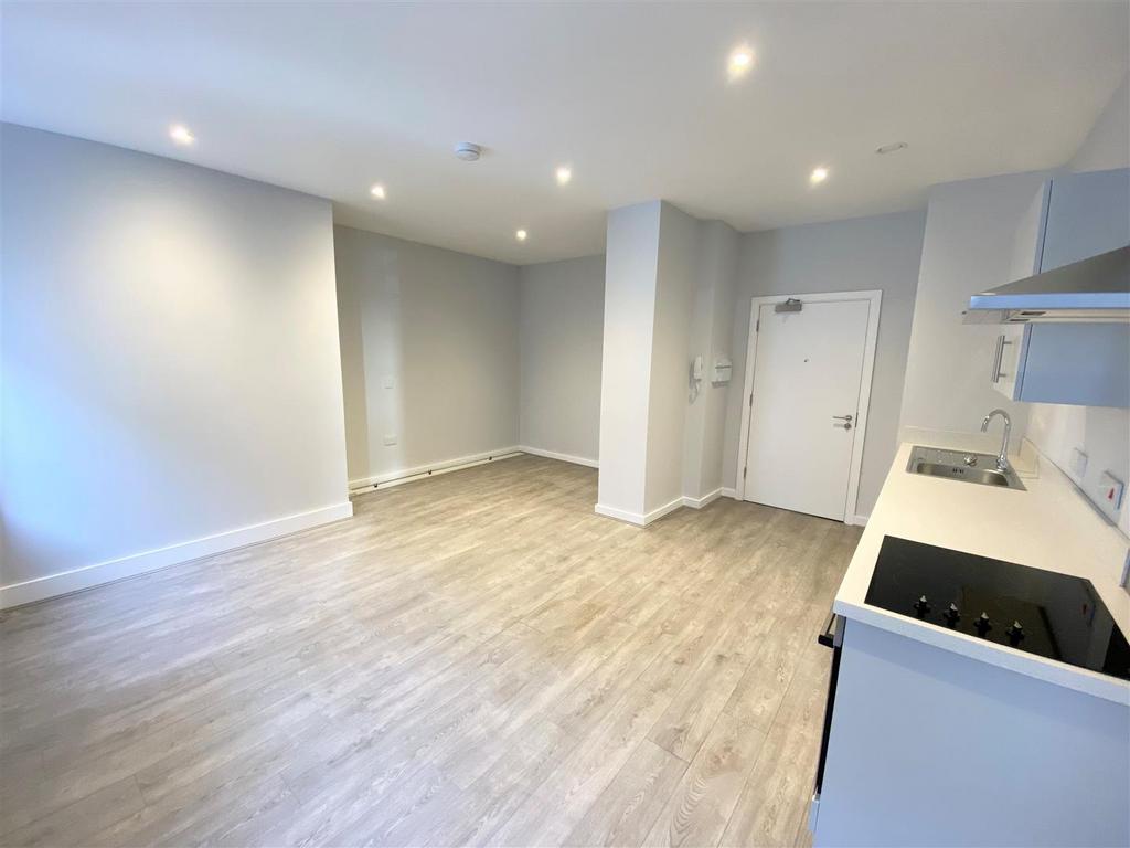 Lounge/ Bedroom / Kitchen