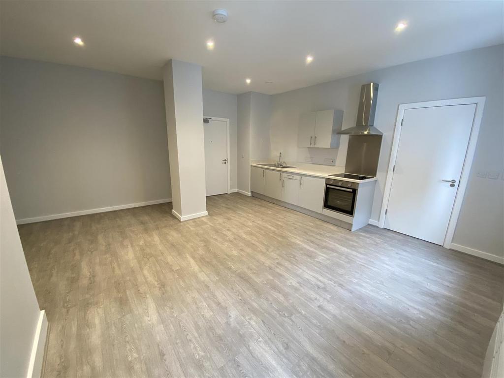 Lounge / Bedroom / Kitchen