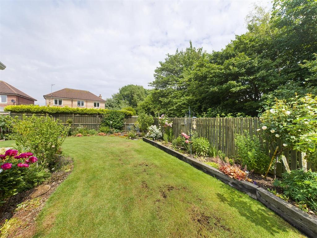 Garden: