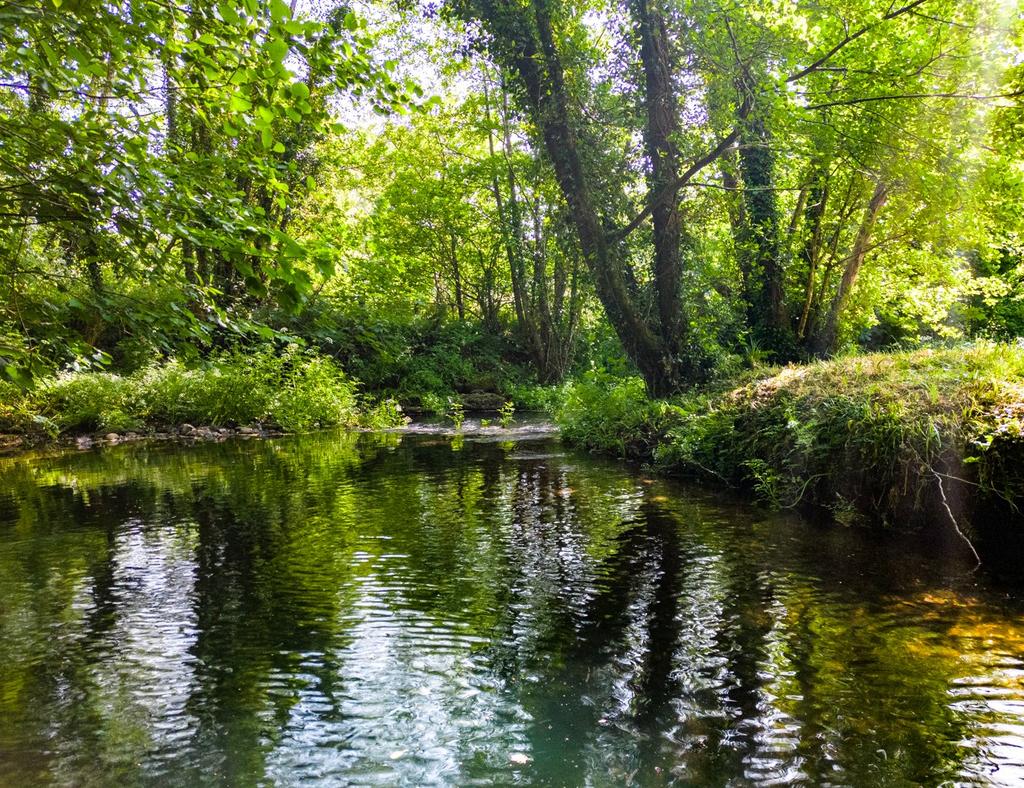 River Frontage