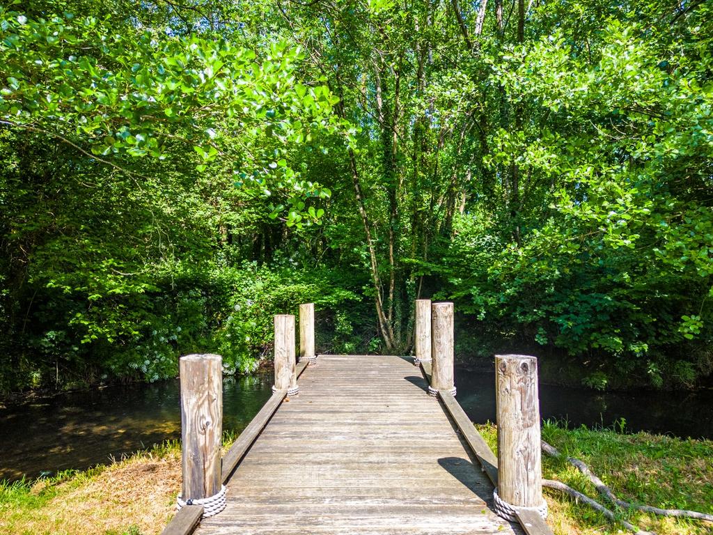 Decked Pontoon