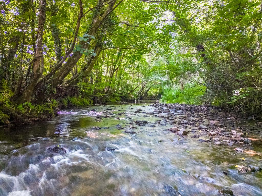 River Yealm Frontage