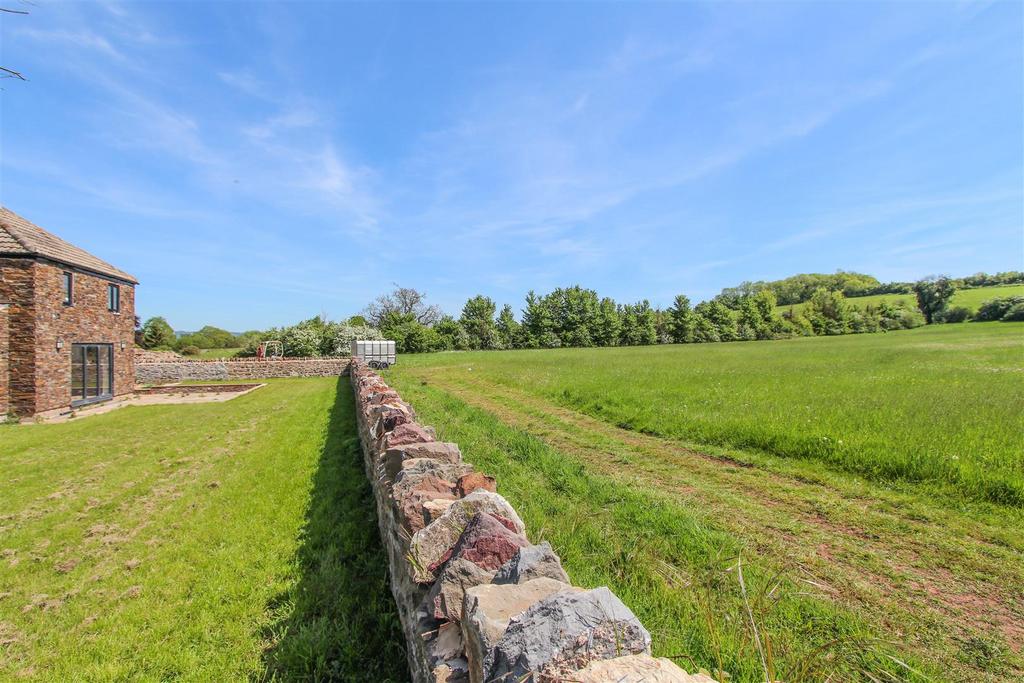 FIELDS.jpg