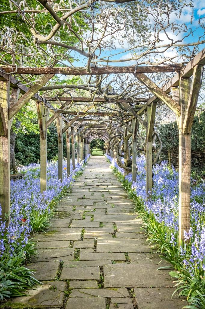 Wisteria Walk