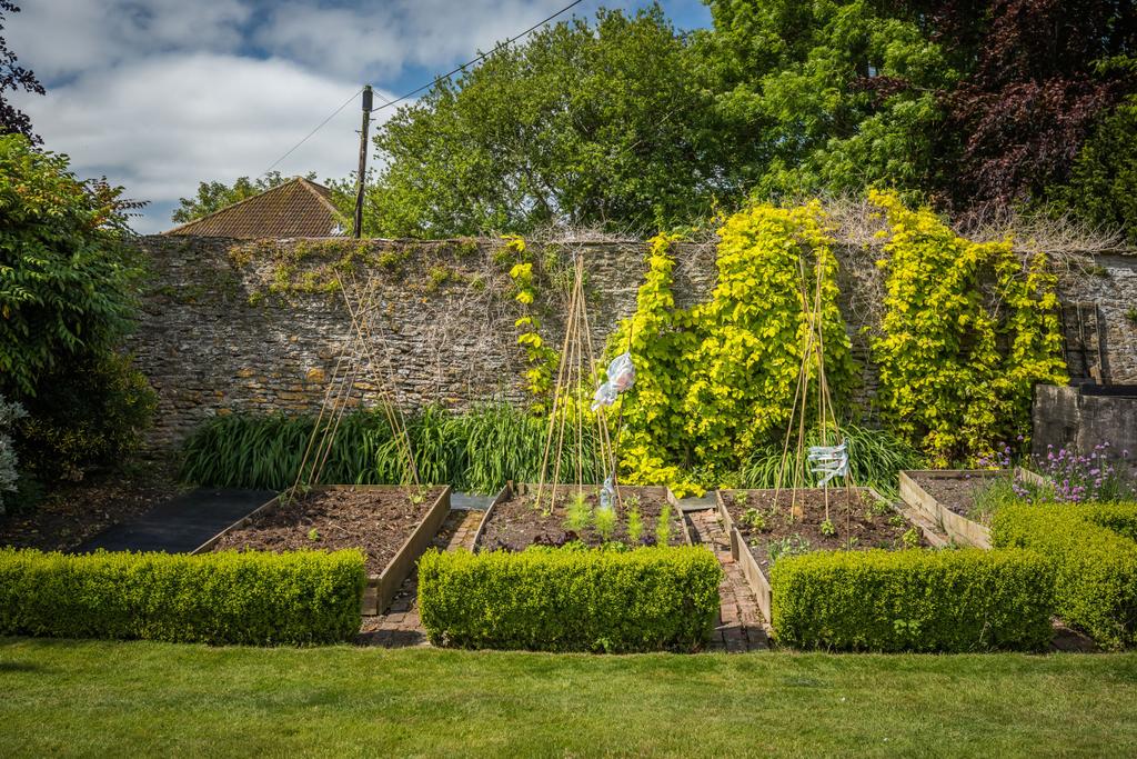 Kitchen Garden