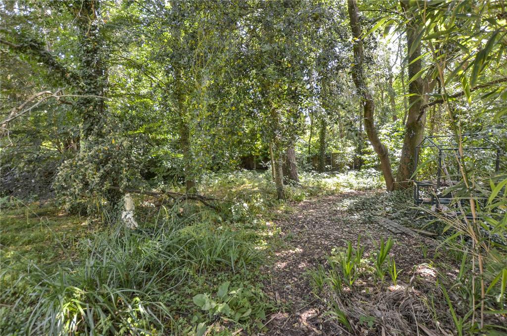 Wooded Area