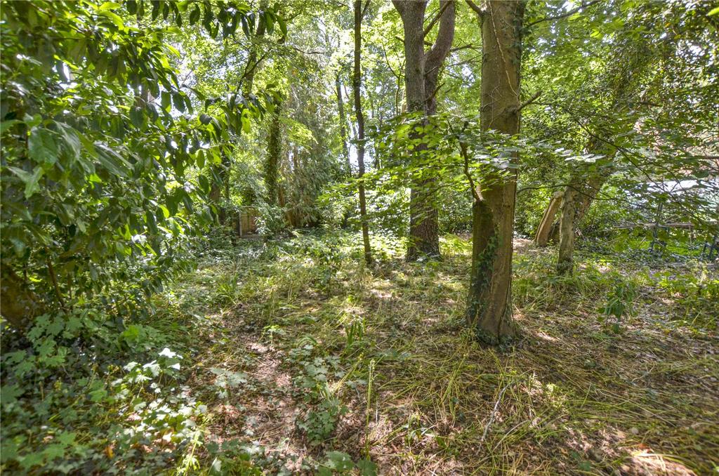 Wooded Area