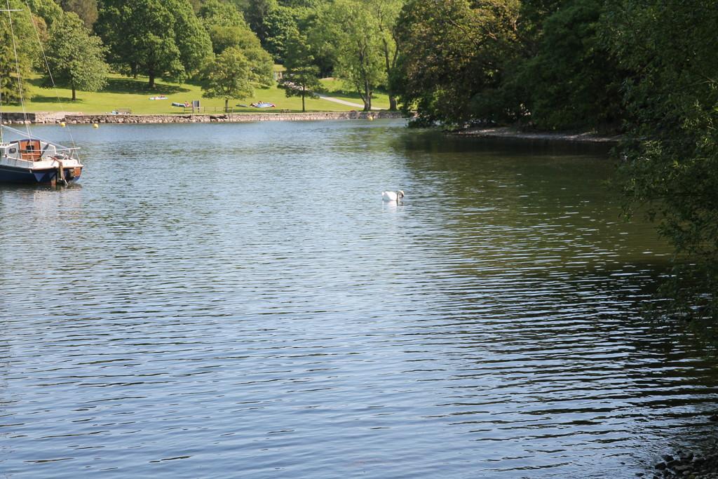 Lake View