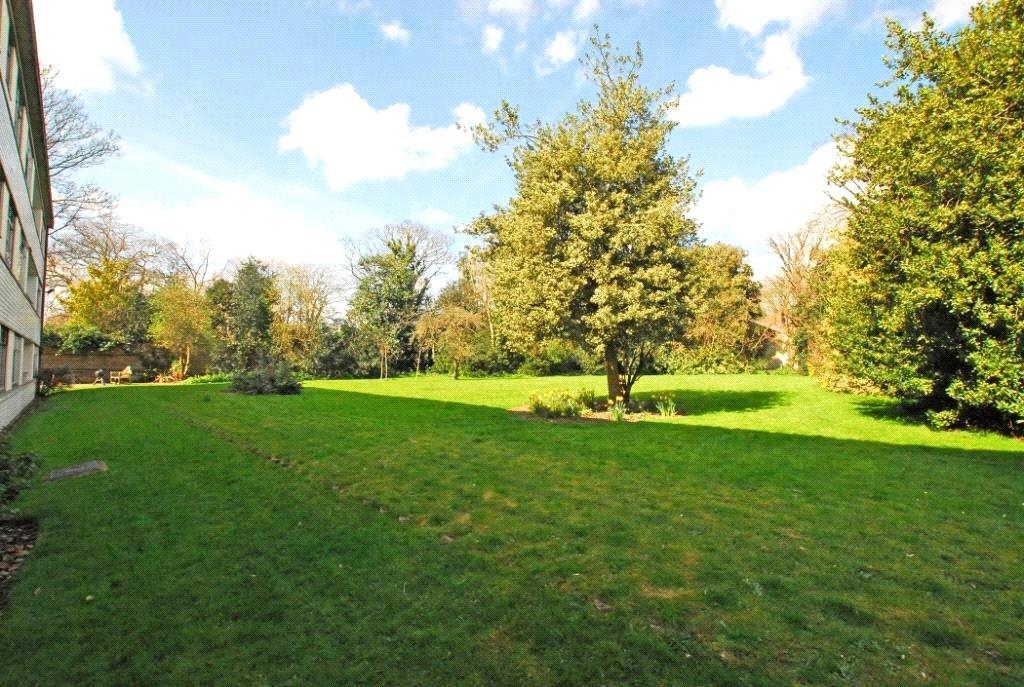 Communal Gardens