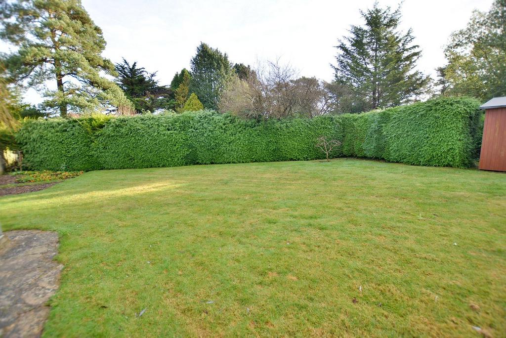 Rear garden