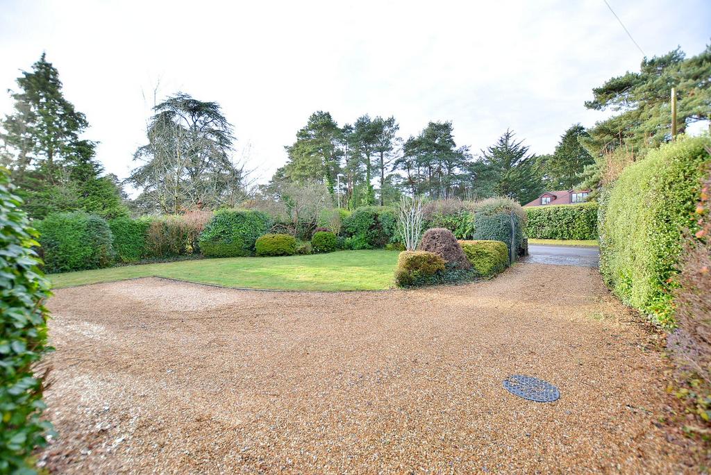Front garden