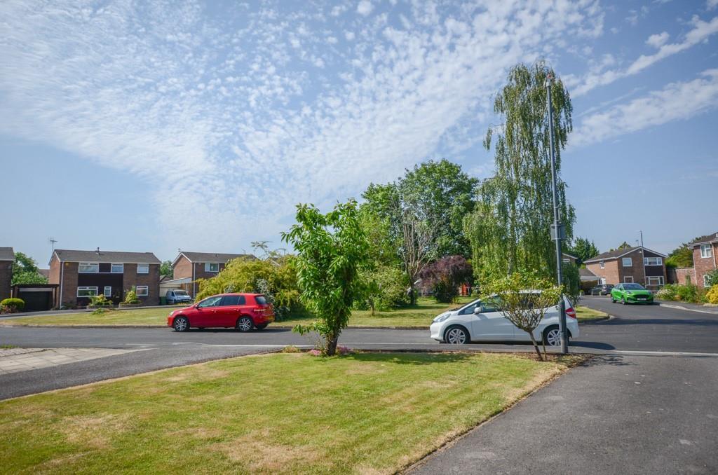 Front garden.jpg