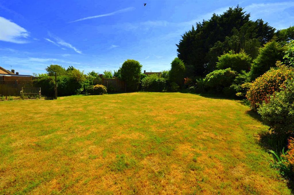 Rear Garden (Summer)