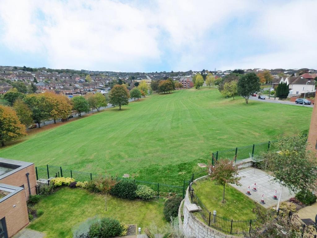 Whitehill green
