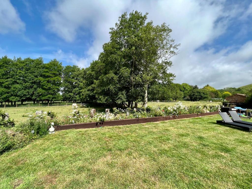 Rear Gardens