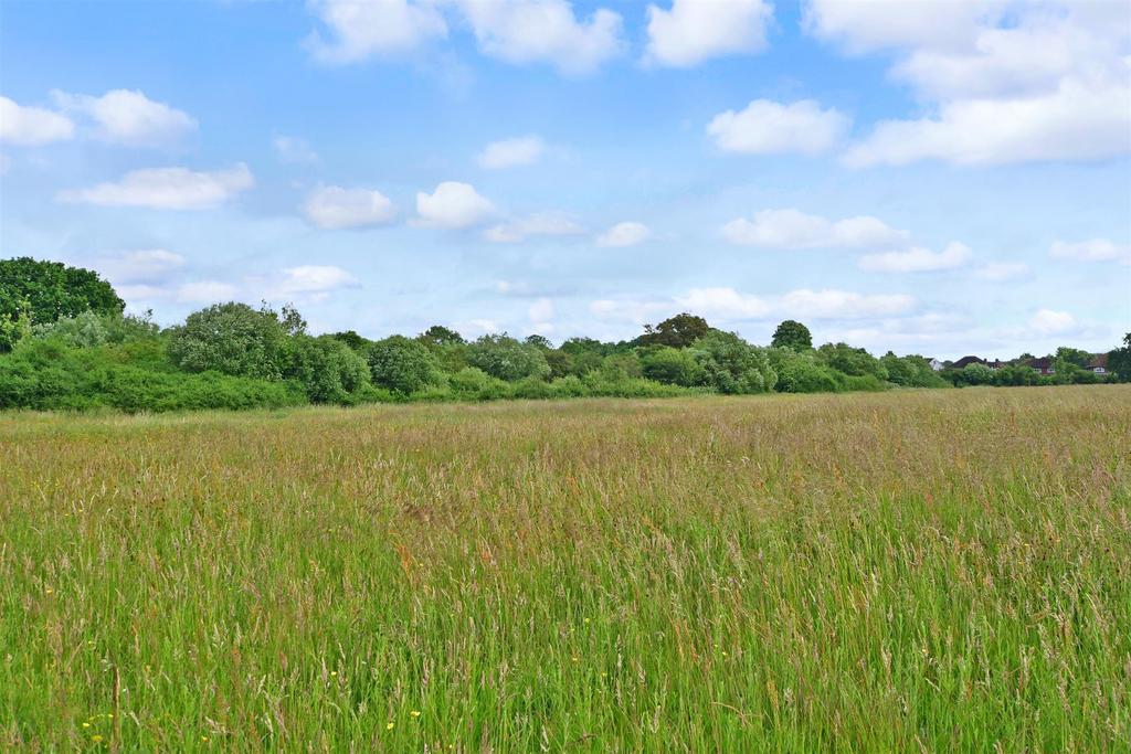 Surrounding Area