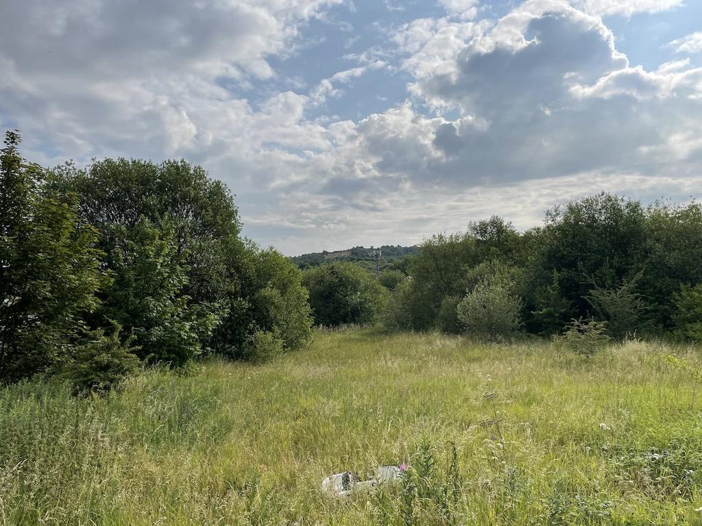 Land At Mossfield Road, Adderley... Land £650,000