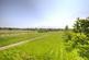 Additional image 28 of Southminster Road, Mayland, CM3