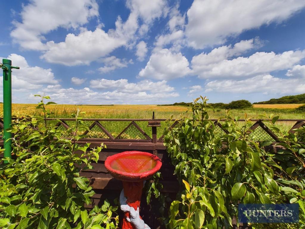 Field views.jpg